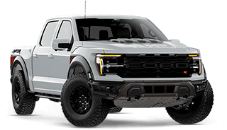 Modelo-CotiRapida-LOBO-RAPTOR